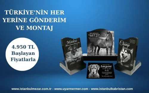 Evcil Hayvan Mezar Modelleri